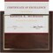 10.5 x 13" Certificate Display Plaque - Offered in Coated Cherry Wood with an 8.5 x 11" Gold Frame - Slide in Your Diploma, Award Certificate, Award of Achievement, Class Photo, and More